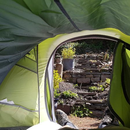 'Yellow Wood Micro Hostel-Eco Urban Bothy Style Very Basic But Cosy Redecorating But Cheap & Friendly Quiet Time Lockout 11Pm-7Am Bring Towel Or Hire เบรคอน ภายนอก รูปภาพ