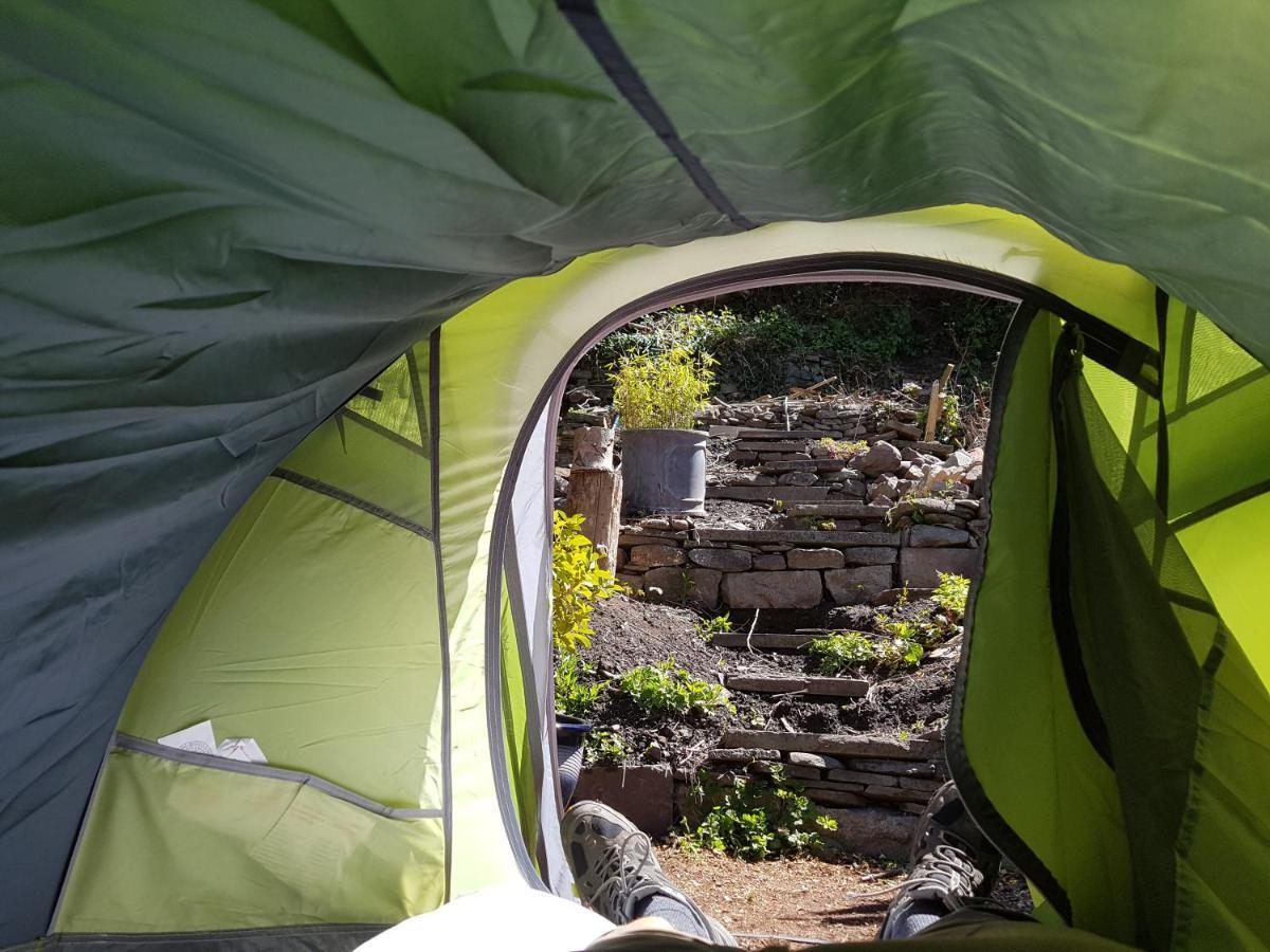 'Yellow Wood Micro Hostel-Eco Urban Bothy Style Very Basic But Cosy Redecorating But Cheap & Friendly Quiet Time Lockout 11Pm-7Am Bring Towel Or Hire เบรคอน ภายนอก รูปภาพ